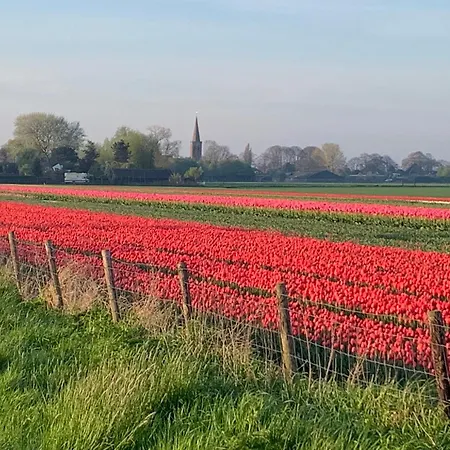 Het Twiscker Huys 4* Twisk