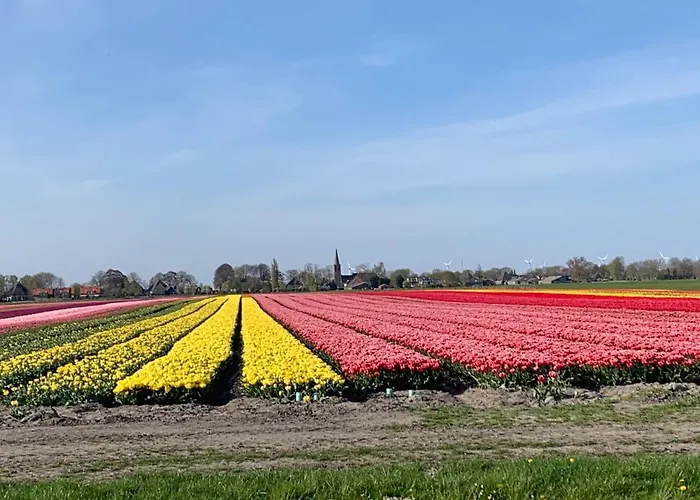 Het Twiscker Huys Bed & Breakfast Twisk