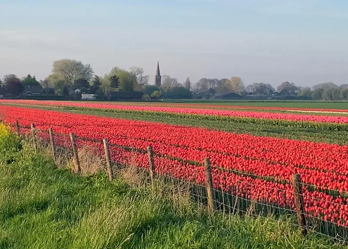 Het Twiscker Huys 4* Twisk