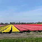 Het Twiscker Huys ベッド・アンド・ブレックファスト Twisk